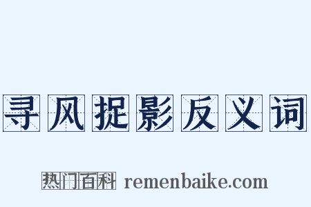 寻风捉影反义词是什么意思的图片